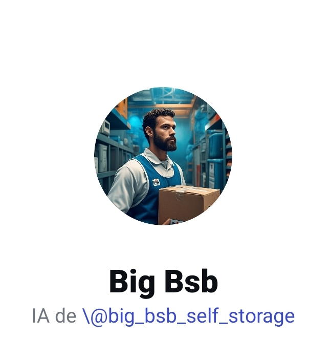 BIG BSB E INTELIGÊNCIA ARTIFICIAL
